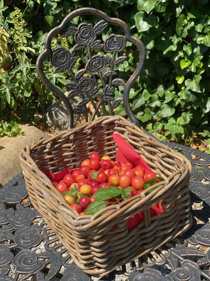 קאפאנורי Dolce Vita In Tuscany Cottage מראה חיצוני תמונה