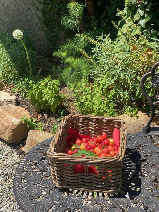 קאפאנורי Dolce Vita In Tuscany Cottage מראה חיצוני תמונה