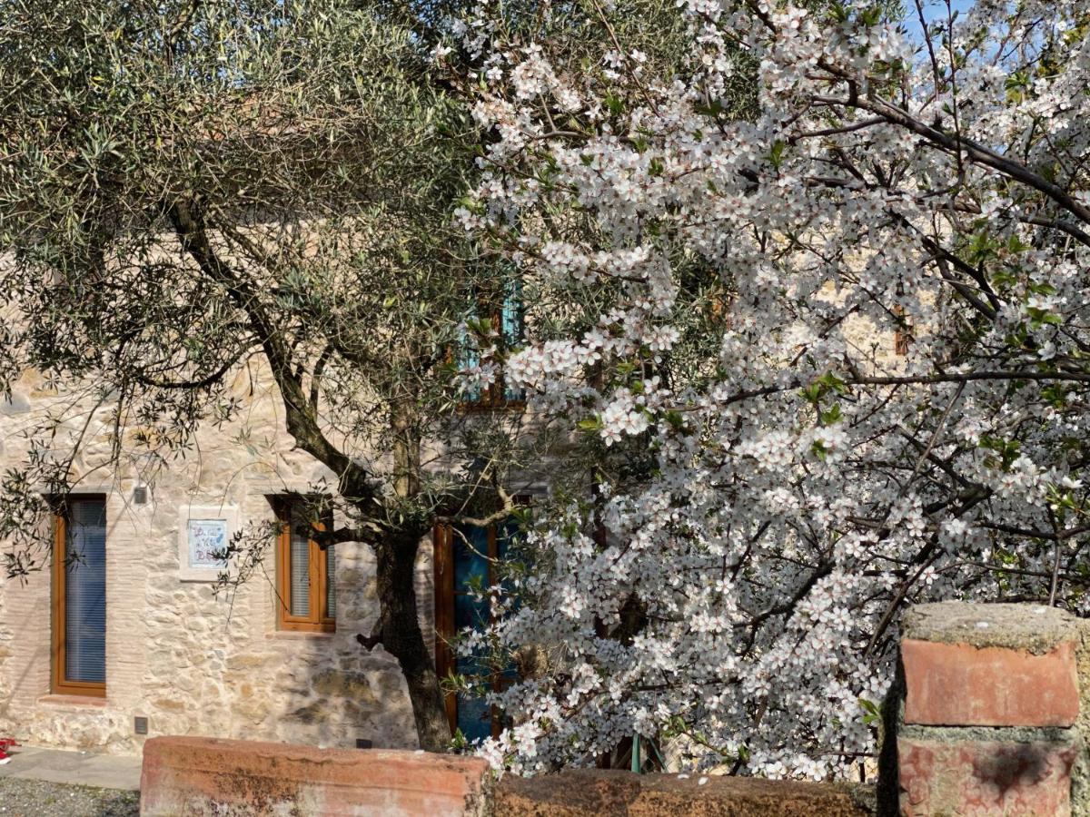קאפאנורי Dolce Vita In Tuscany Cottage מראה חיצוני תמונה