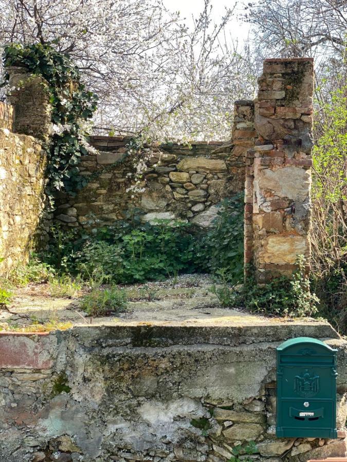 קאפאנורי Dolce Vita In Tuscany Cottage מראה חיצוני תמונה