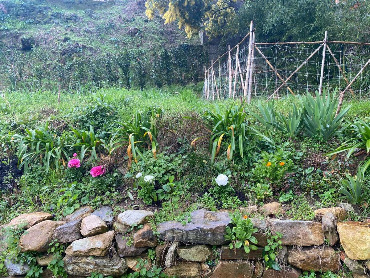קאפאנורי Dolce Vita In Tuscany Cottage מראה חיצוני תמונה