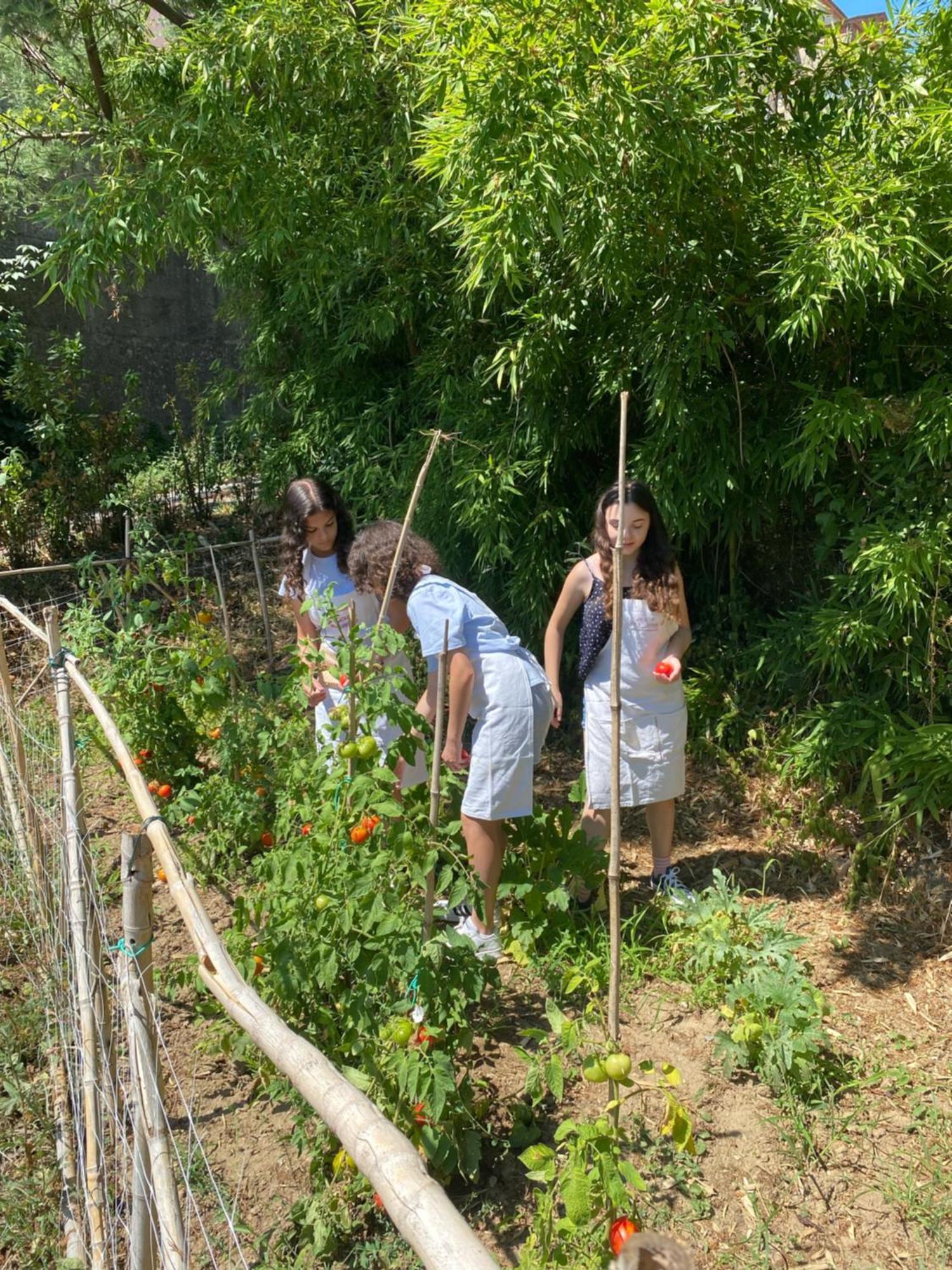 קאפאנורי Dolce Vita In Tuscany Cottage מראה חיצוני תמונה